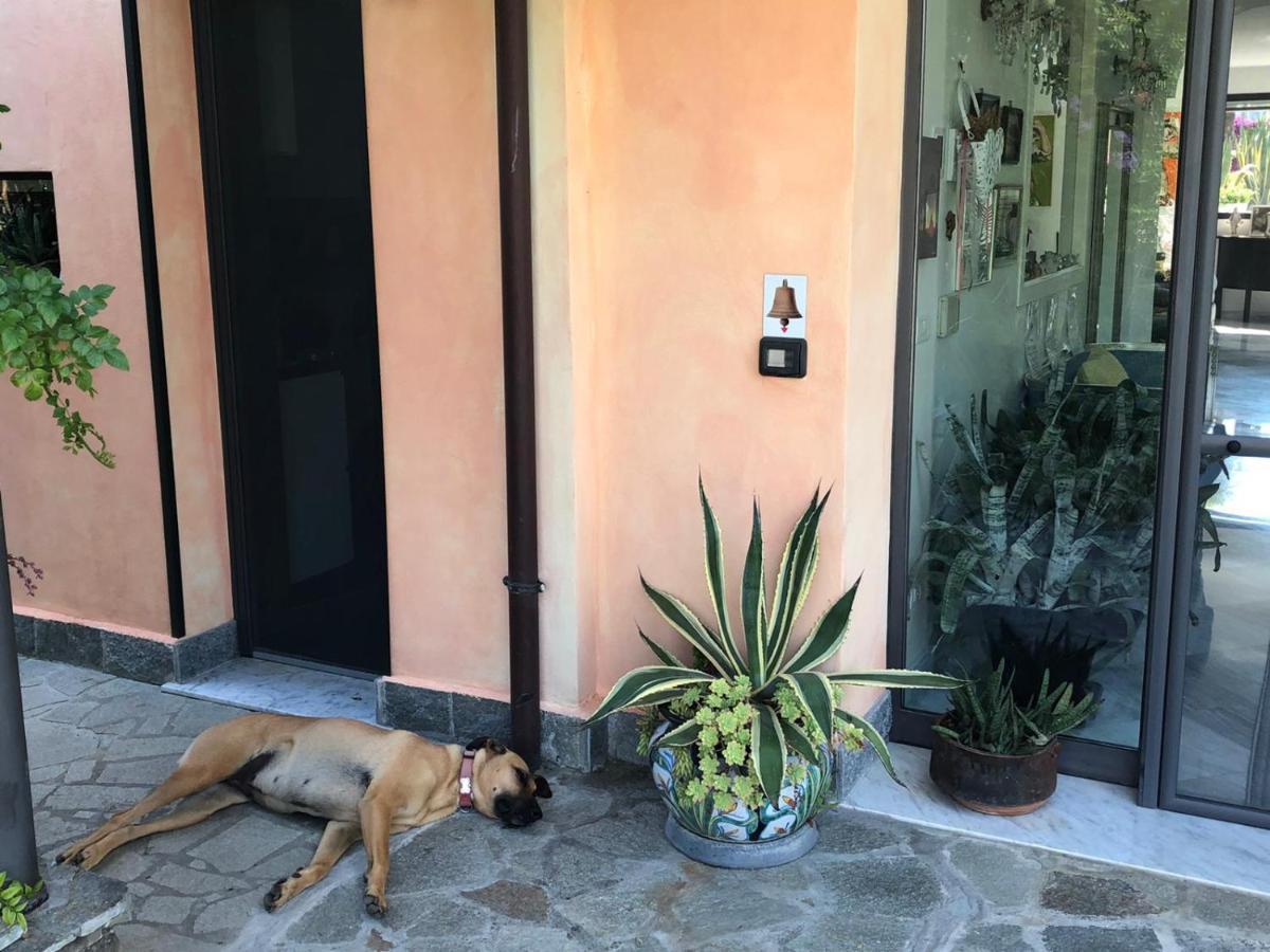 La Casa Di Sissi B&B 산레모 외부 사진