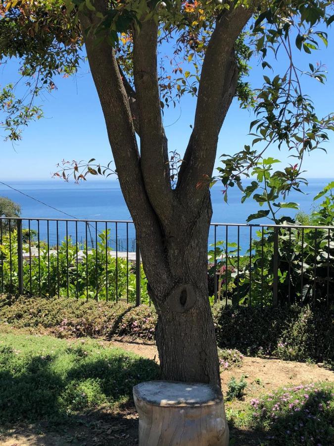 La Casa Di Sissi B&B 산레모 외부 사진